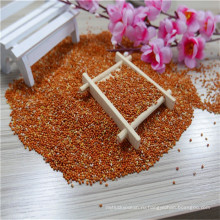 Китайский красный пшено для кормления, семенами птица 